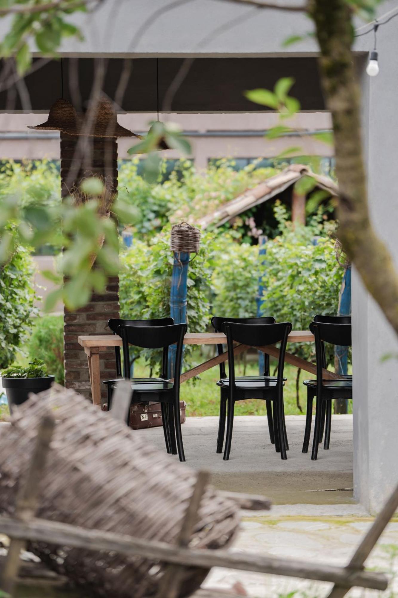 Vineyard Hotel & Winery Napareuli Exterior photo