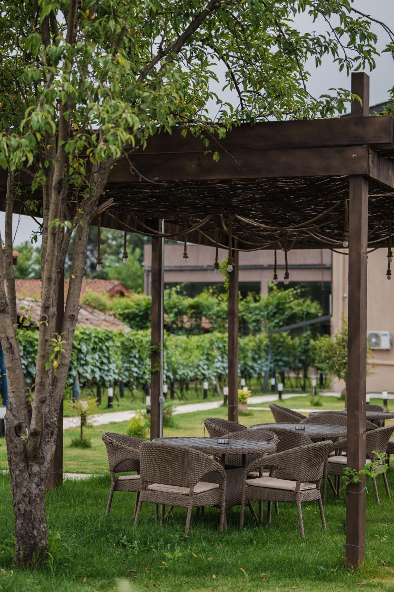 Vineyard Hotel & Winery Napareuli Exterior photo