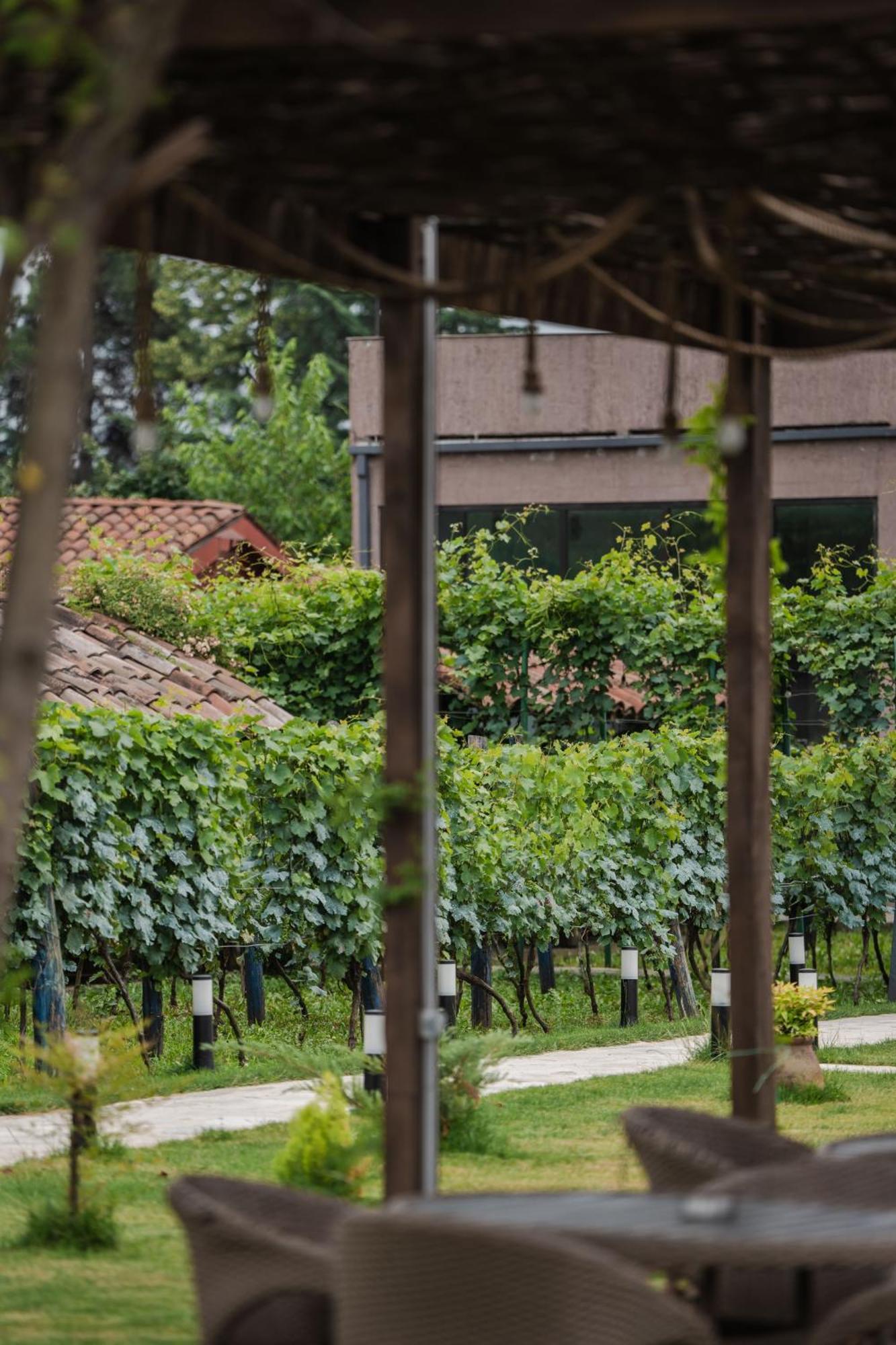 Vineyard Hotel & Winery Napareuli Exterior photo